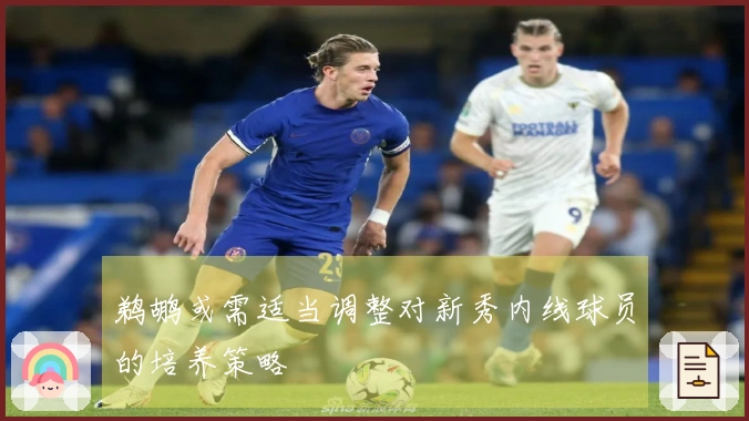 鹈鹕或需适当调整对新秀内线球员的培养策略
